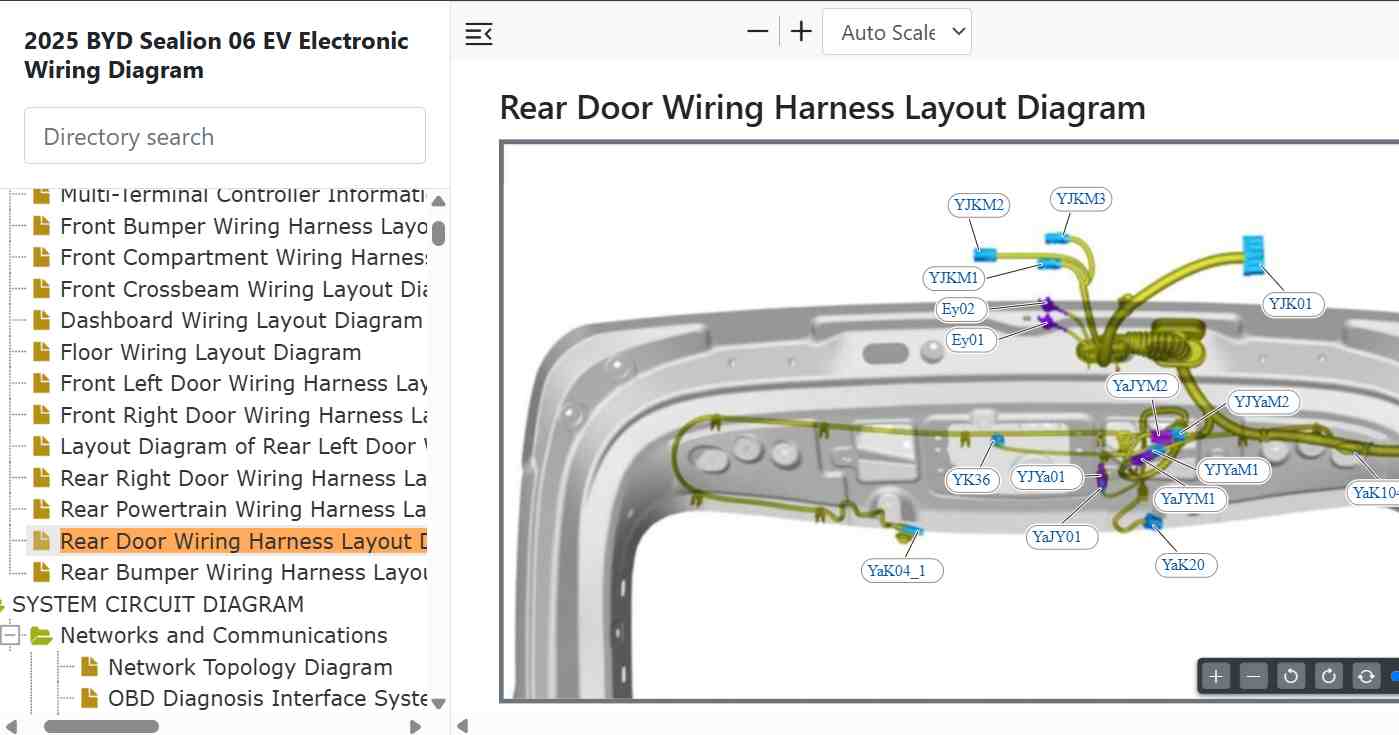 BYD Sealion 06 EV Rear Door Wiring Harness Layout Diagram.jpg