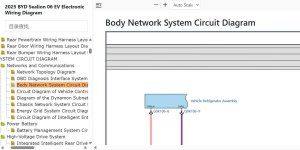 Body Network Communication Fault.jpg