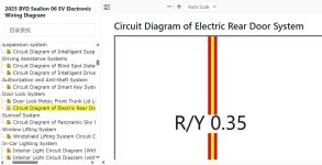 Electric Rear Door Not Closing Diagnosis.jpg