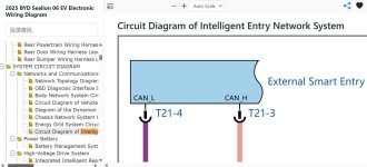 Intelligent Entry Network Wiring Diagram.jpg