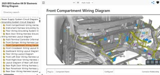 BYD Sealion 06 EV Front Harness Layout.jpg